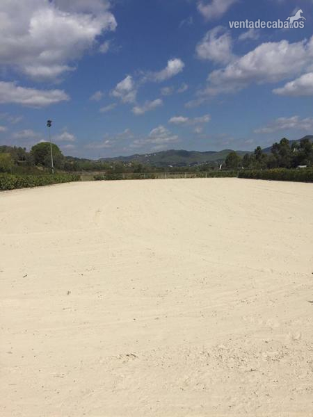 Alquiler de instalaciones hípicas  - Finca ecuestre in Castellar del valles 