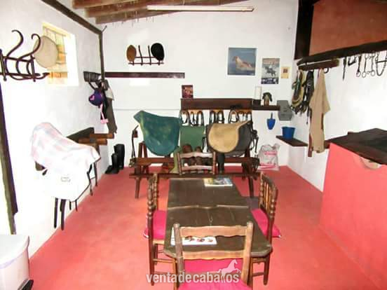 Finca particular con instalaciones hípicas.  - Finca ecuestre