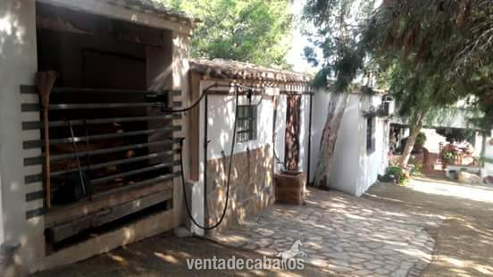 Finca particular con instalaciones hípicas.  Águilas 