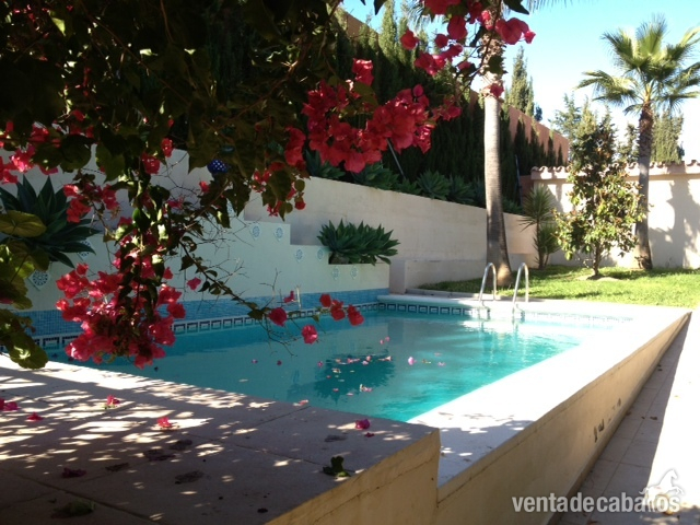 CHALET CON ESTABLOS EN COSTA DEL SOL in estepona