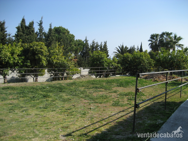 Finca ecuestre - CHALET CON ESTABLOS EN COSTA DEL SOL in estepona