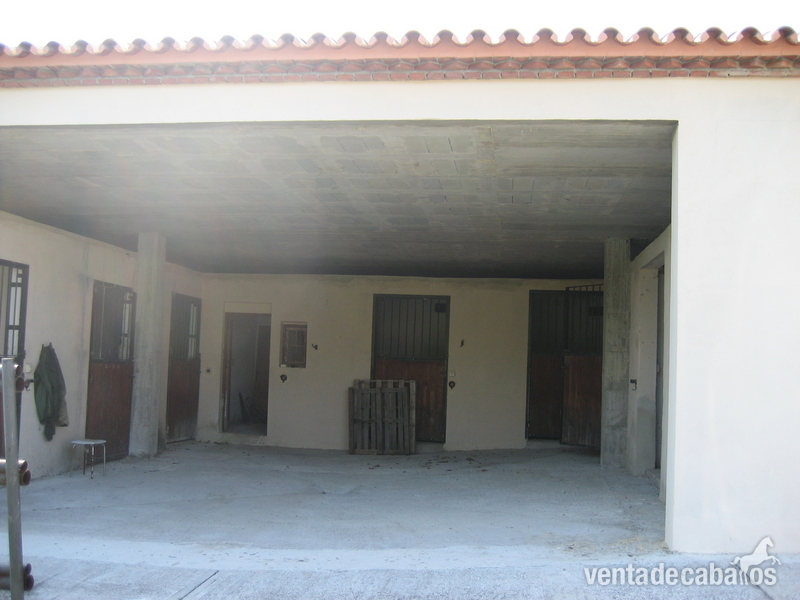 Finca ecuestre - CHALET CON ESTABLOS EN COSTA DEL SOL