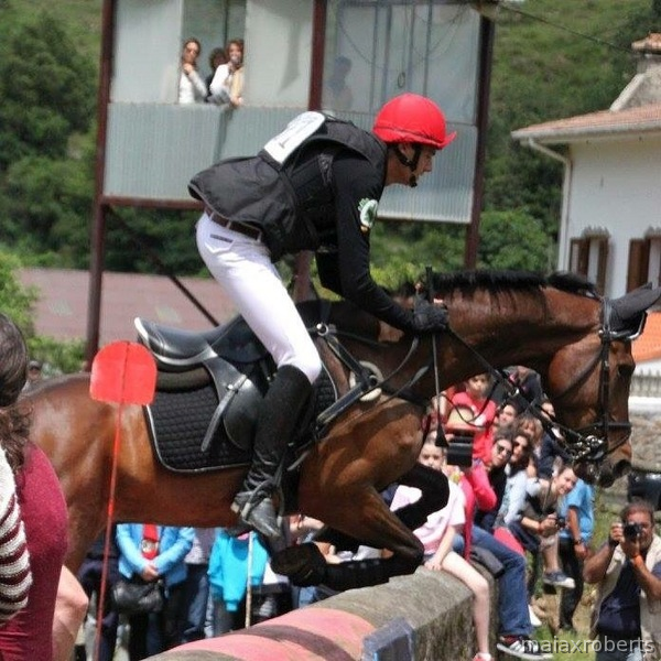 Caballo de Deporte Español (CDE)