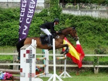 Se vende caballo de salto y completo