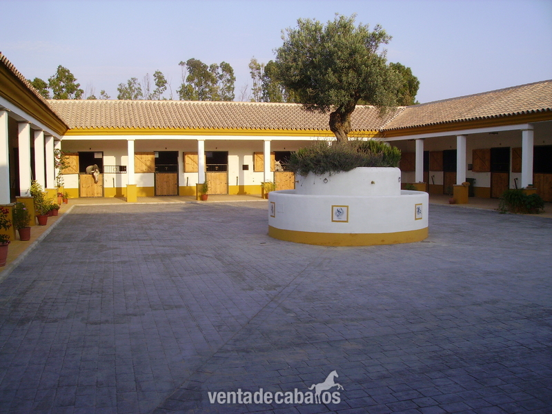 SE ALQUILA O SE VENDE ESPECTACULAR FINCA in PUERTO DE SANTA MARIA