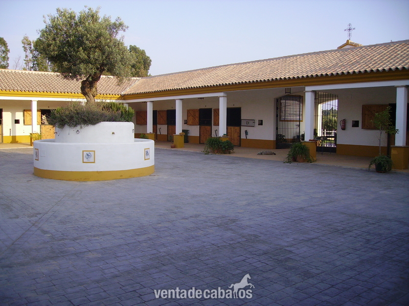 PUERTO DE SANTA MARIA SE ALQUILA O SE VENDE ESPECTACULAR FINCA