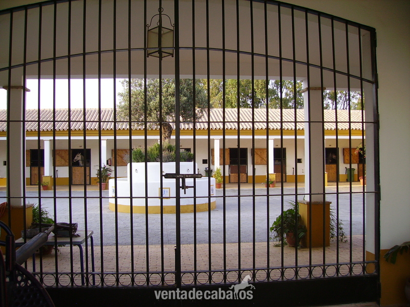 SE ALQUILA O SE VENDE ESPECTACULAR FINCA - Finca ecuestre