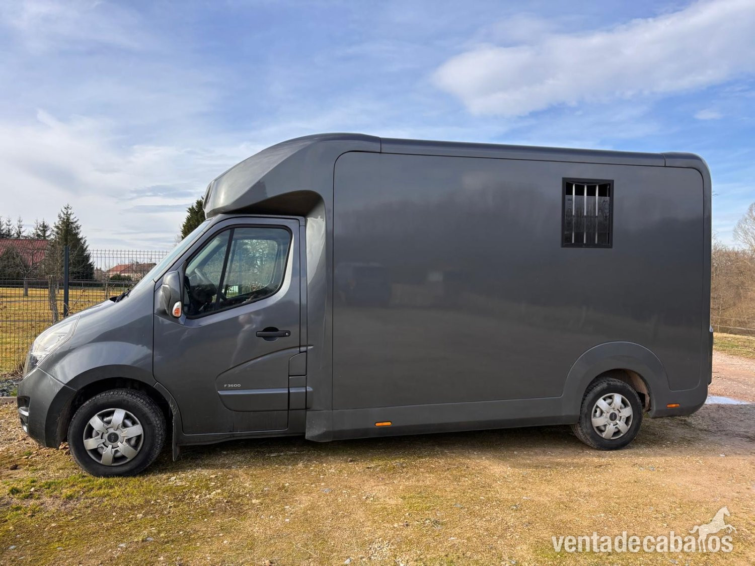 Opel Movano STX Transporte 2 caballos in 