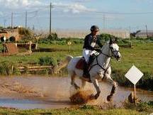CURS GRATUIT D'EQUITACIÓ