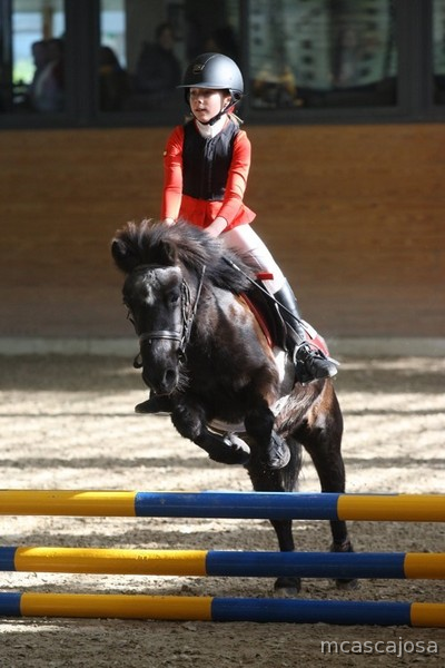 Myrtille en Venta (Poni A) in 
