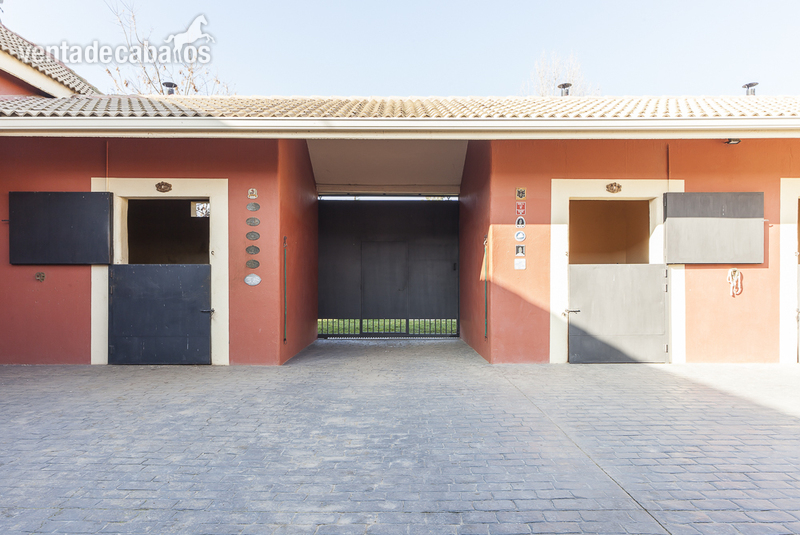 EL MOLAR FINCA ECUESTRE CON 5 HECTAREAS DE TERRENO EN EL MOLAR