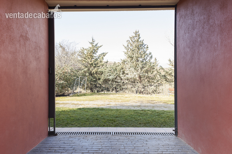 FINCA ECUESTRE CON 5 HECTAREAS DE TERRENO EN EL MOLAR - Finca ecuestre in EL MOLAR