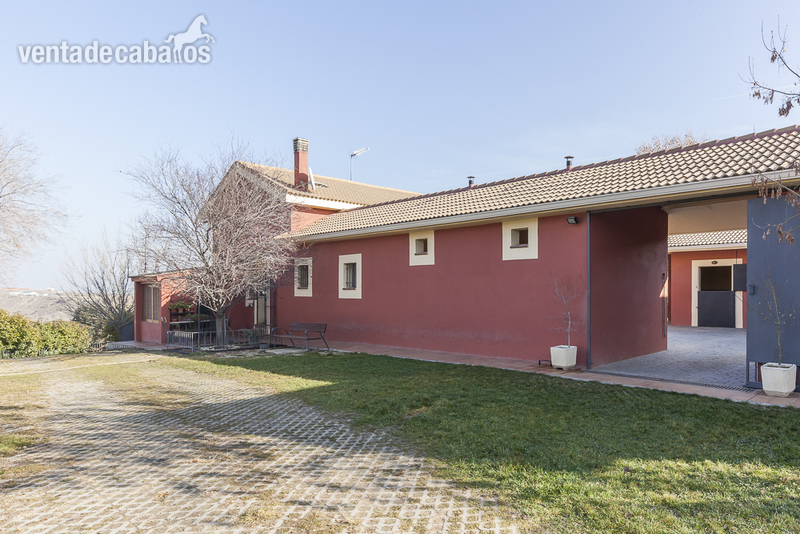 FINCA ECUESTRE CON 5 HECTAREAS DE TERRENO EN EL MOLAR - Finca ecuestre