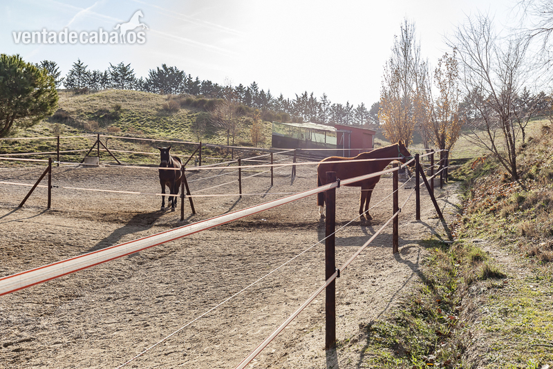 Finca ecuestre - FINCA ECUESTRE CON 5 HECTAREAS DE TERRENO EN EL MOLAR