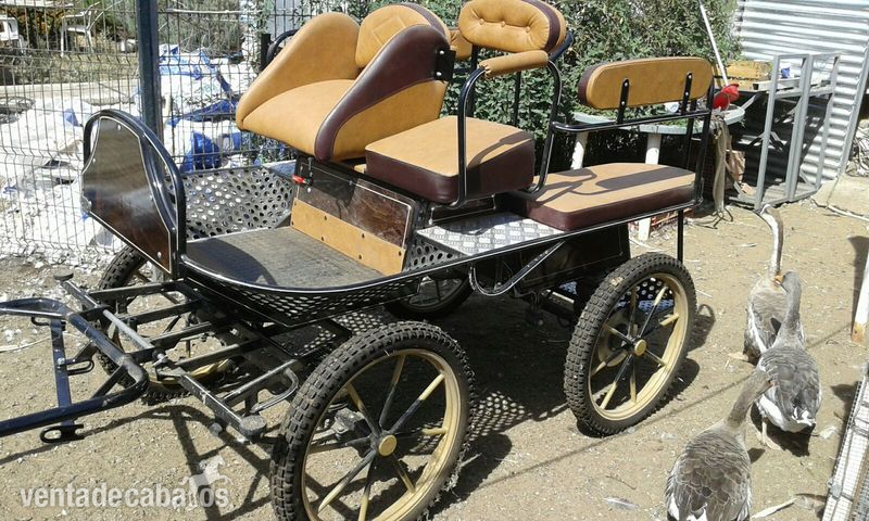vendo maraton neumatica para caballo mediano,wells  in 