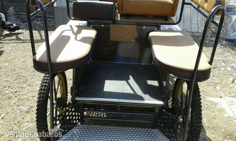  vendo maraton neumatica para caballo mediano,wells 