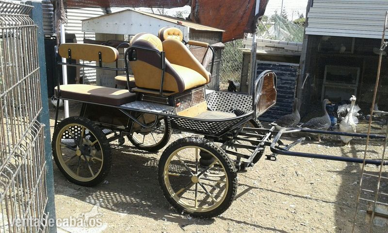 vendo maraton neumatica para caballo mediano,wells  - Carruajes y Enganches in 