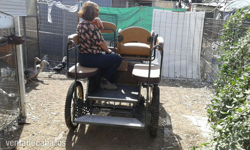 Carruajes y Enganches - vendo maraton neumatica para caballo mediano,wells  in 
