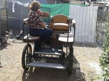 vendo maraton neumatica para caballo mediano,wells 