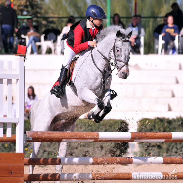 Salto {TYPE}