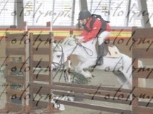 Venta de Ponis