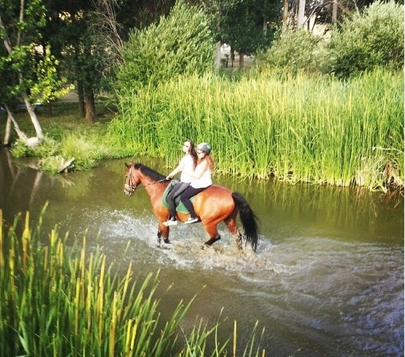 caballo cde 11 años - Caballo de Deporte Español (CDE)