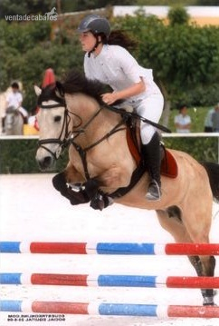 Ponys de salto de todas las categorias y todos los niveles in 