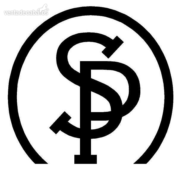 Pura Raza Española {TYPE}