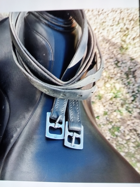 Sillas de montar - Zaldi New Kent Doma 17,5" in 