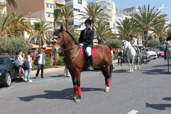 Hispano Bretón
