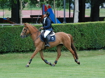 VENTA PONI "C" DE SALTO