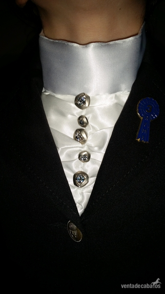 PLASTRON ARTESANAL in 