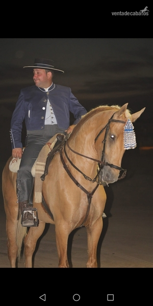 Hispano luso