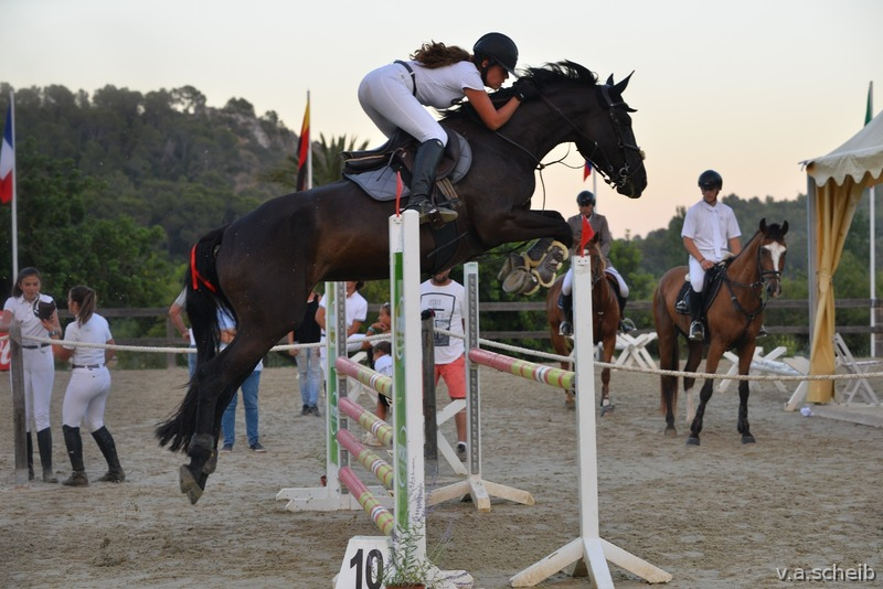 Yegua de salto con mucha calidad! in 