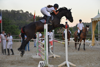 Yegua de salto con mucha calidad!