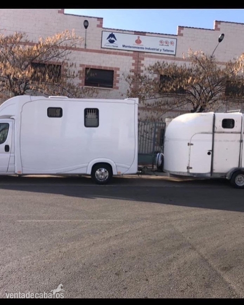 Transporte de caballos  - Transportes de caballos in 