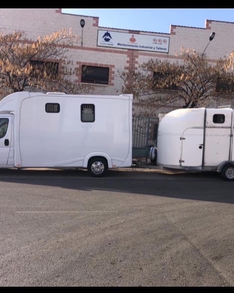 Transporte de caballos  - Transportes de caballos in 