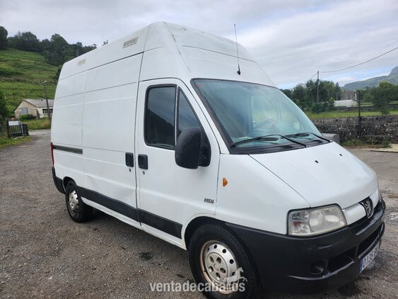 PEUGEOT BOXER PARA TRANSPORTE DE 2 CABALLOS in 