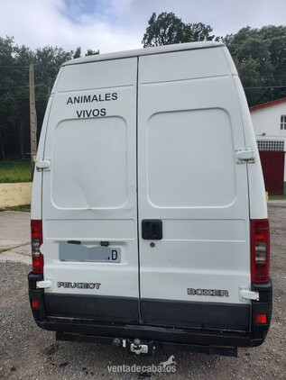 PEUGEOT BOXER PARA TRANSPORTE DE 2 CABALLOS
