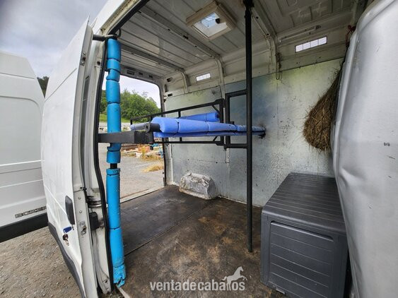 PEUGEOT BOXER PARA TRANSPORTE DE 2 CABALLOS - Transportes de caballos in 