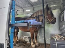 PEUGEOT BOXER PARA TRANSPORTE DE 2 CABALLOS