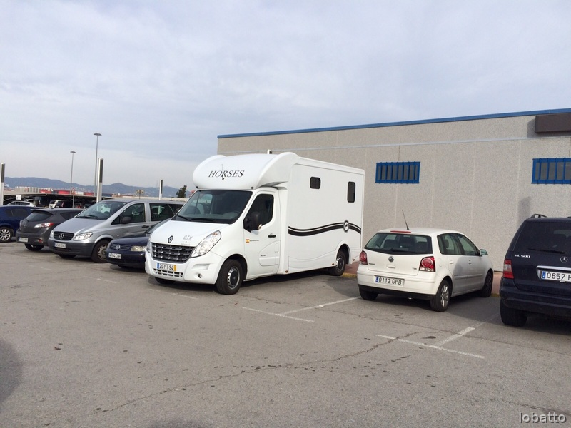 Vendo camión para dos caballos verso EQ2 - Transportes de caballos
