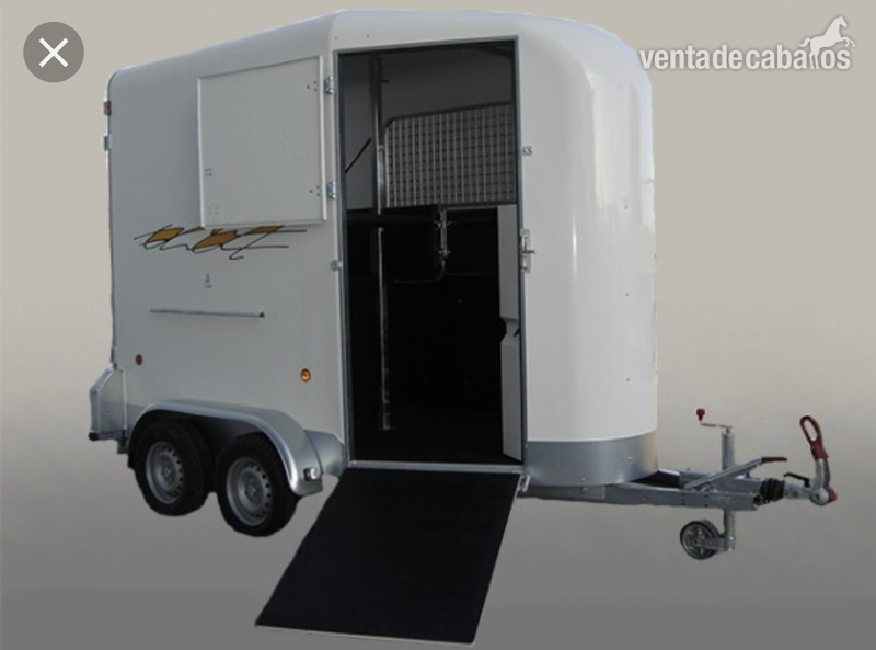 Van dos caballos alzaga 2  in 
