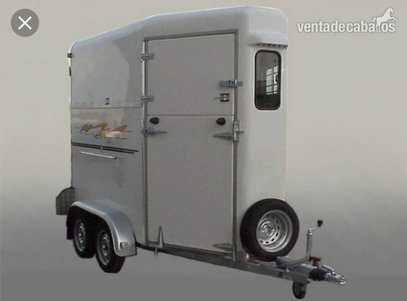 Van dos caballos alzaga 2 