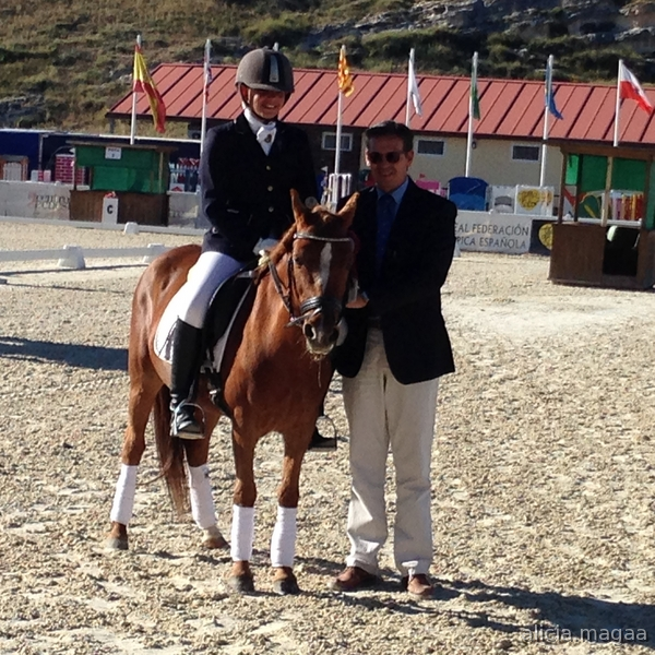 Poni B de competición  in 
