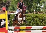 Aslan poni C