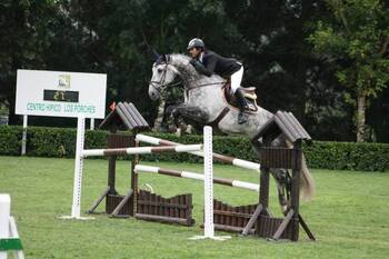Caballo Salto 1,40