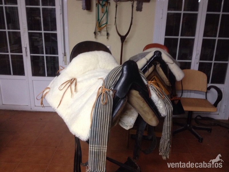 Montura Vaquera in 
