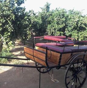 Charret de caballo