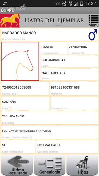 Caballo de pura raza española - Caballos Pura Raza Española (P.R.E.) Pura Raza Española
